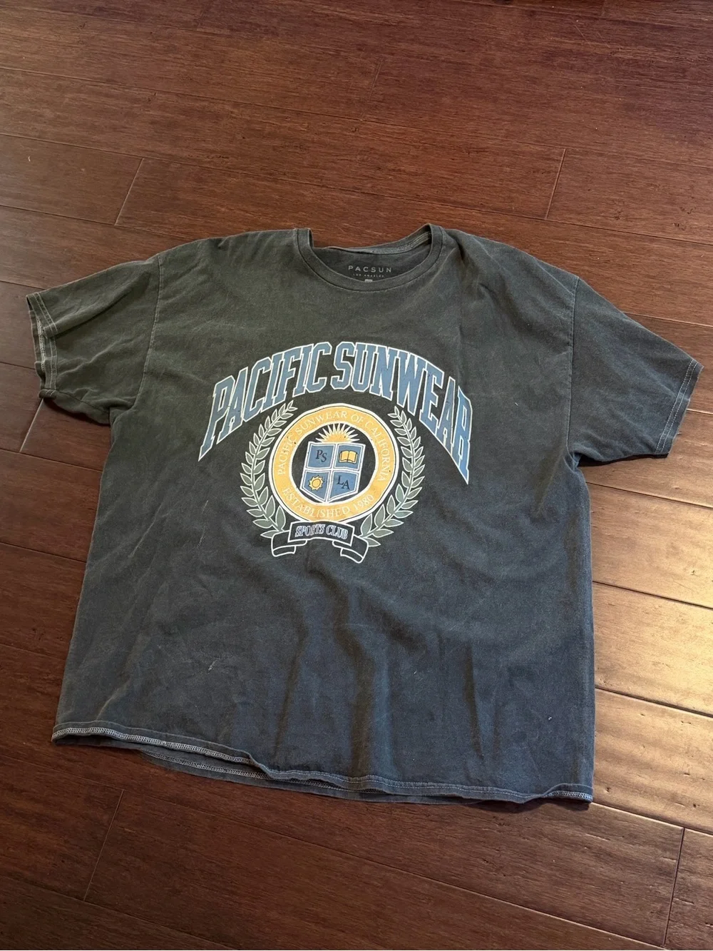 PacSun Charcoal Gray Graphic Short Sleeve Tee
